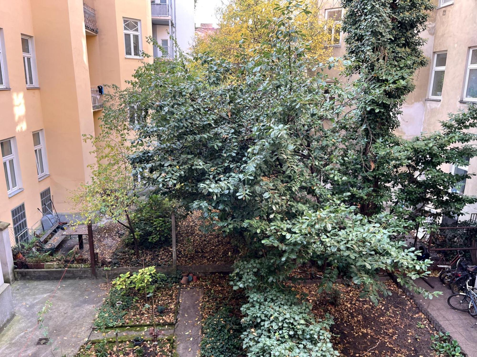 Cozy Two-bedroom Near Metro * Wien